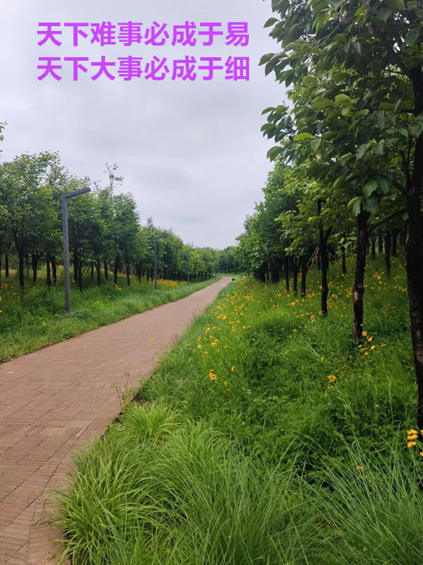 天下_副本.jpg
